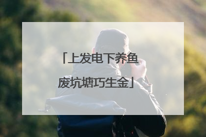 上发电下养鱼 废坑塘巧生金