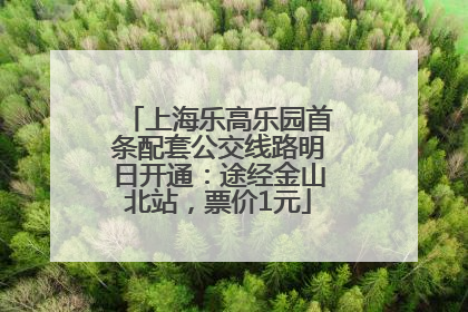 上海乐高乐园首条配套公交线路明日开通：途经金山北站，票价1元
