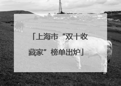 上海市“双十收藏家”榜单出炉