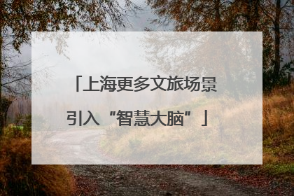 上海更多文旅场景引入“智慧大脑”