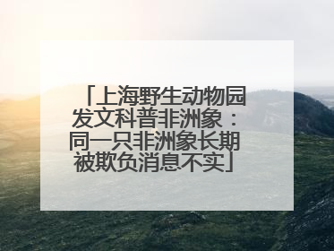 上海野生动物园发文科普非洲象：同一只非洲象长期被欺负消息不实