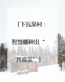 下瓦泉村：智慧棚种出“共富菜”