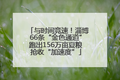 与时间竞速！淄博66条“金色通道”跑出156万亩夏粮抢收“加速度”