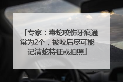 专家：毒蛇咬伤牙痕通常为2个，被咬后尽可能记清蛇特征或拍照