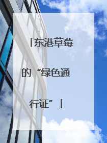 东港草莓的“绿色通行证”