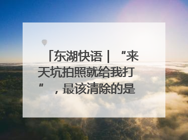 东湖快语｜“来天坑拍照就给我打”，最该清除的是“护短”思维