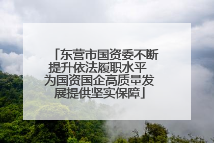东营市国资委不断提升依法履职水平 为国资国企高质量发展提供坚实保障