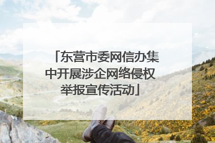 东营市委网信办集中开展涉企网络侵权举报宣传活动