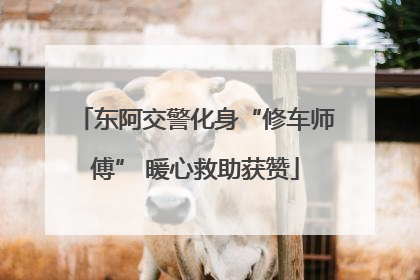 东阿交警化身“修车师傅” 暖心救助获赞