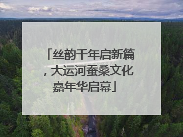 丝韵千年启新篇，大运河蚕桑文化嘉年华启幕