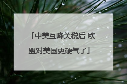 中美互降关税后 欧盟对美国更硬气了
