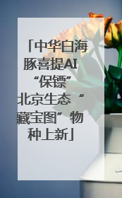 中华白海豚喜提AI“保镖” 北京生态“藏宝图”物种上新