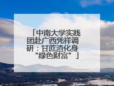 中南大学实践团赴广西凭祥调研：甘蔗渣化身“绿色财富”