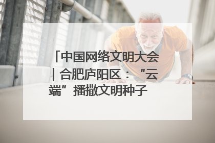 中国网络文明大会｜合肥庐阳区：“云端”播撒文明种子 共建清朗网络空间