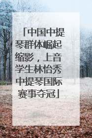 中国中提琴群体崛起缩影，上音学生林怡秀中提琴国际赛事夺冠