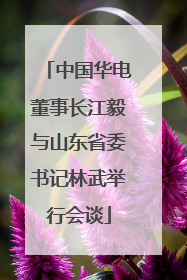 中国华电董事长江毅与山东省委书记林武举行会谈