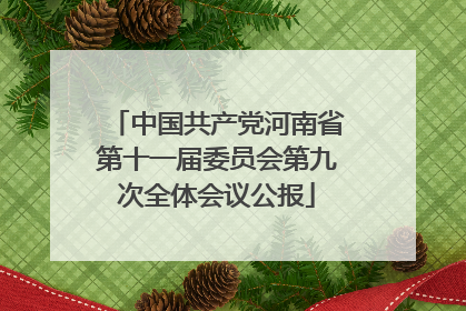 中国共产党河南省第十一届委员会第九次全体会议公报