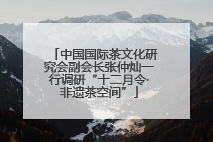 中国国际茶文化研究会副会长张仲灿一行调研“十二月令·非遗茶空间”