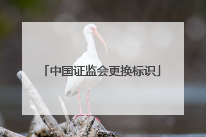 中国证监会更换标识