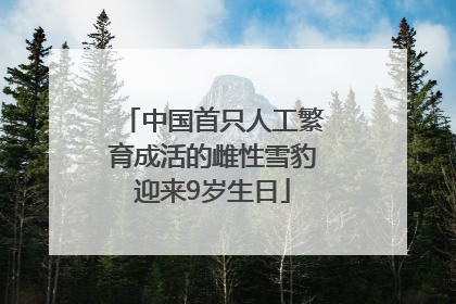 中国首只人工繁育成活的雌性雪豹迎来9岁生日