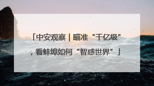 中安观察｜瞄准“千亿级”，看蚌埠如何“智感世界”