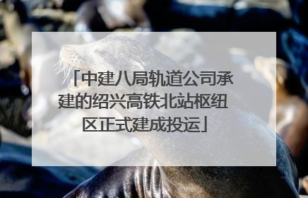 中建八局轨道公司承建的绍兴高铁北站枢纽区正式建成投运