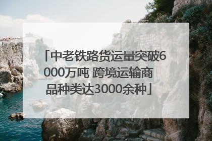 中老铁路货运量突破6000万吨 跨境运输商品种类达3000余种