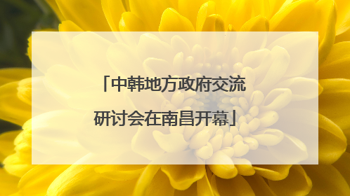 中韩地方政府交流研讨会在南昌开幕