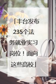 丰台发布235个法务就业实习岗位！面向这些高校