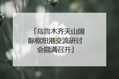 乌鲁木齐天山国际枢纽港交流研讨会圆满召开