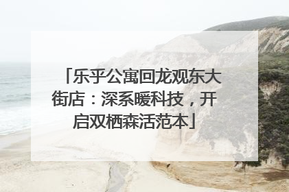 乐乎公寓回龙观东大街店：深系暖科技，开启双栖森活范本