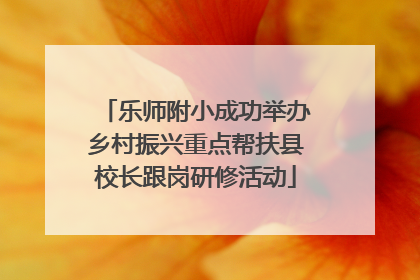 乐师附小成功举办乡村振兴重点帮扶县校长跟岗研修活动
