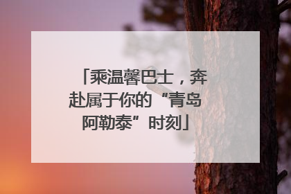乘温馨巴士，奔赴属于你的“青岛阿勒泰”时刻