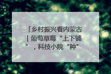 乡村振兴看内蒙古｜葡萄草莓“上下铺”，科技小院“种”出三倍效益