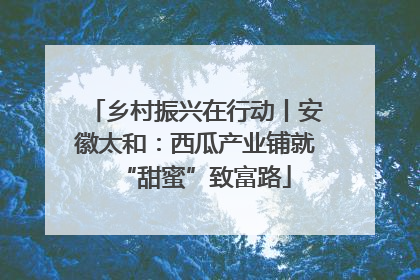 乡村振兴在行动丨安徽太和：西瓜产业铺就“甜蜜”致富路