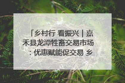 乡村行 看振兴｜嘉禾县龙潭牲畜交易市场：优惠赋能促交易 乡村振兴添动能