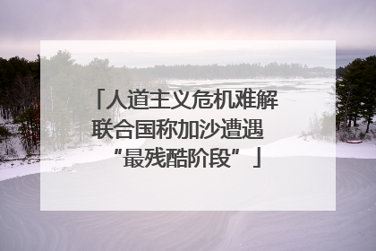 人道主义危机难解 联合国称加沙遭遇“最残酷阶段”