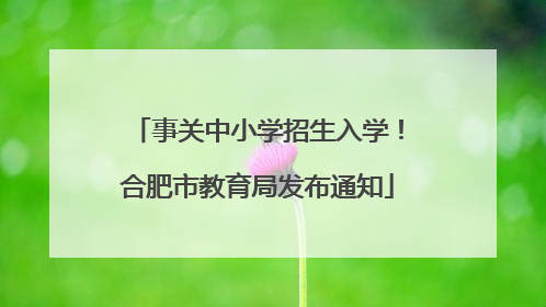 事关中小学招生入学！合肥市教育局发布通知