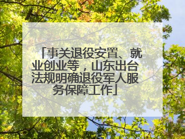 事关退役安置、就业创业等，山东出台法规明确退役军人服务保障工作