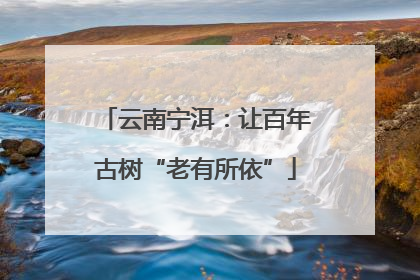 云南宁洱：让百年古树“老有所依”