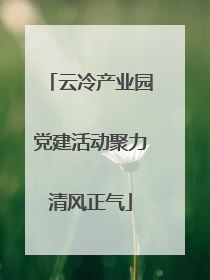 云冷产业园党建活动聚力清风正气