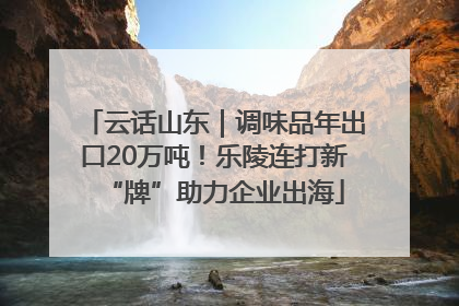 云话山东｜调味品年出口20万吨！乐陵连打新“牌”助力企业出海