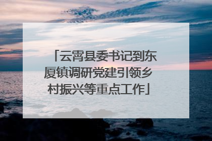云霄县委书记到东厦镇调研党建引领乡村振兴等重点工作