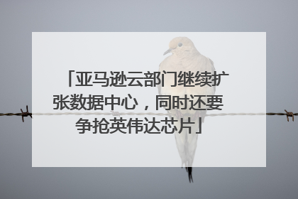 亚马逊云部门继续扩张数据中心，同时还要争抢英伟达芯片