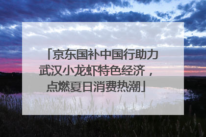 京东国补中国行助力武汉小龙虾特色经济，点燃夏日消费热潮