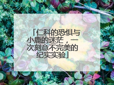 仁科的恐惧与小鹿的迷茫，一次刻意不完美的纪实实验