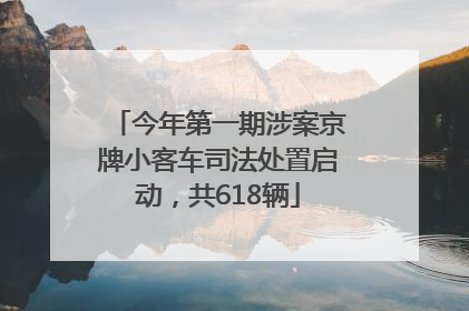 今年第一期涉案京牌小客车司法处置启动，共618辆