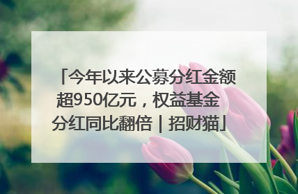今年以来公募分红金额超950亿元，权益基金分红同比翻倍｜招财猫