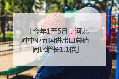 今年1至5月，河北对中亚五国进出口总值同比增长1.1倍
