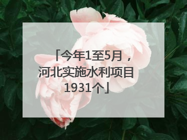 今年1至5月，河北实施水利项目1931个